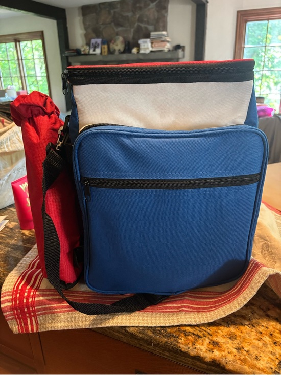 None Other - PICNIC READY!! NEW Adorable Blue and Red Insulated Picnic Backpack Set - a